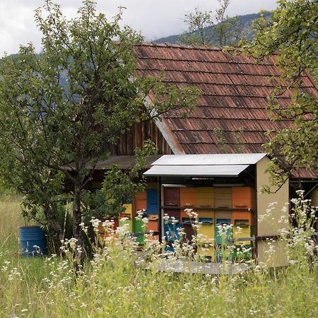 Apartma Petra Ravnik - Wanderer'S Hut Apartman Bohinji-tó Kültér fotó
