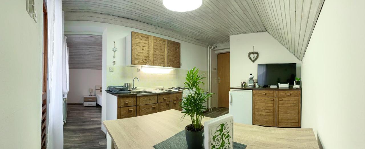 Apartma Petra Ravnik - Wanderer'S Hut Apartman Bohinji-tó Kültér fotó